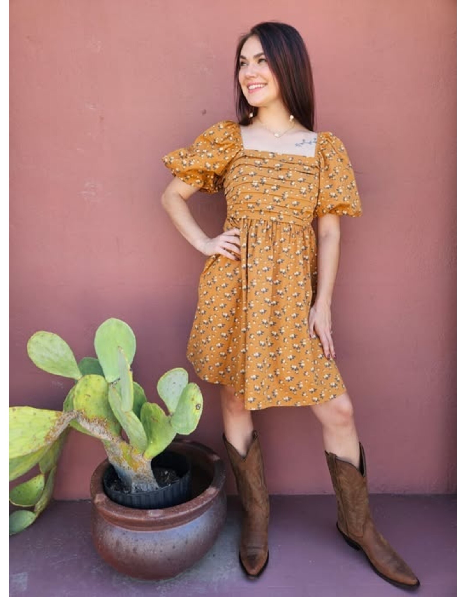 The Darling Clementine Dress
