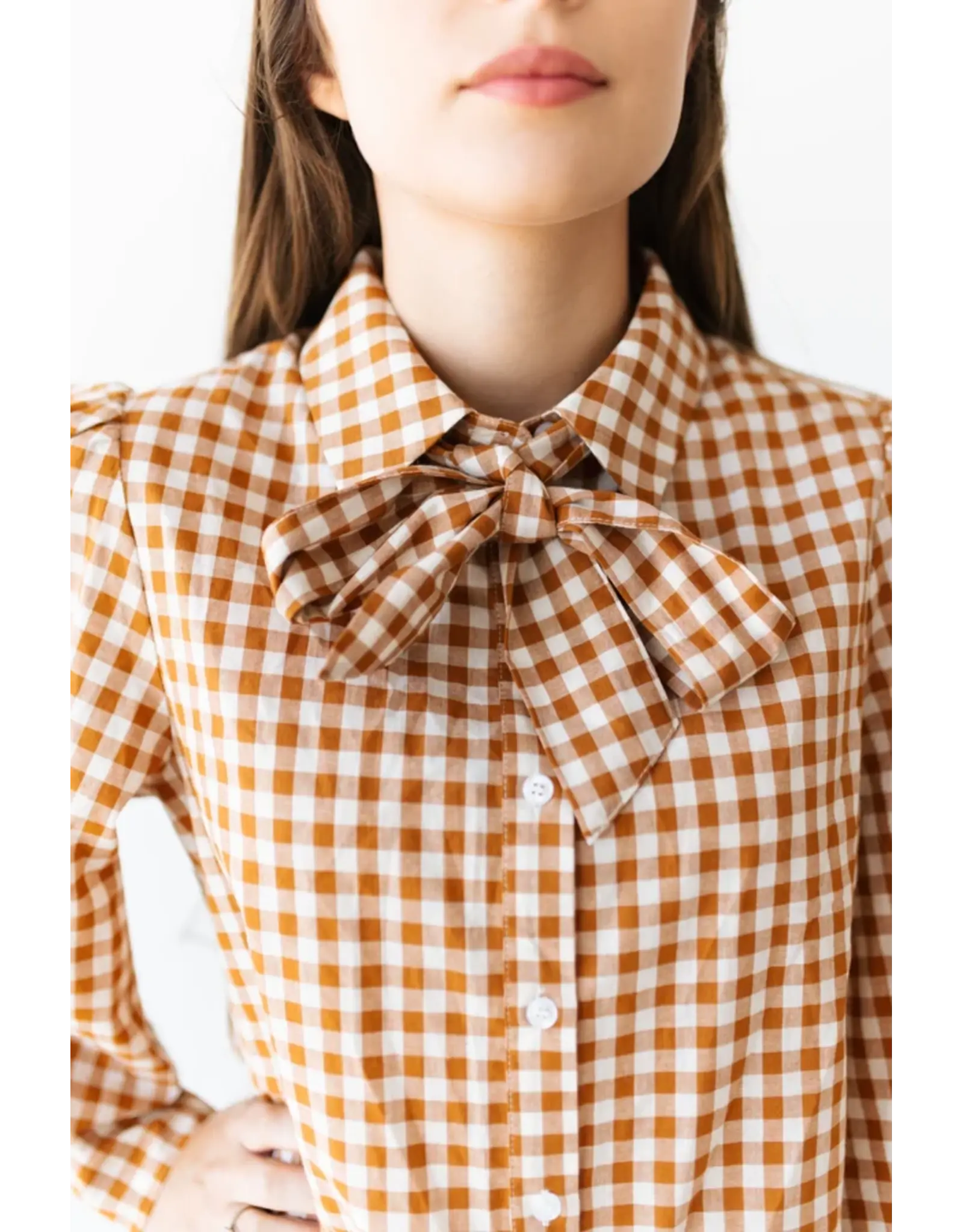 Ginger Gingham Long Sleeve Blouse