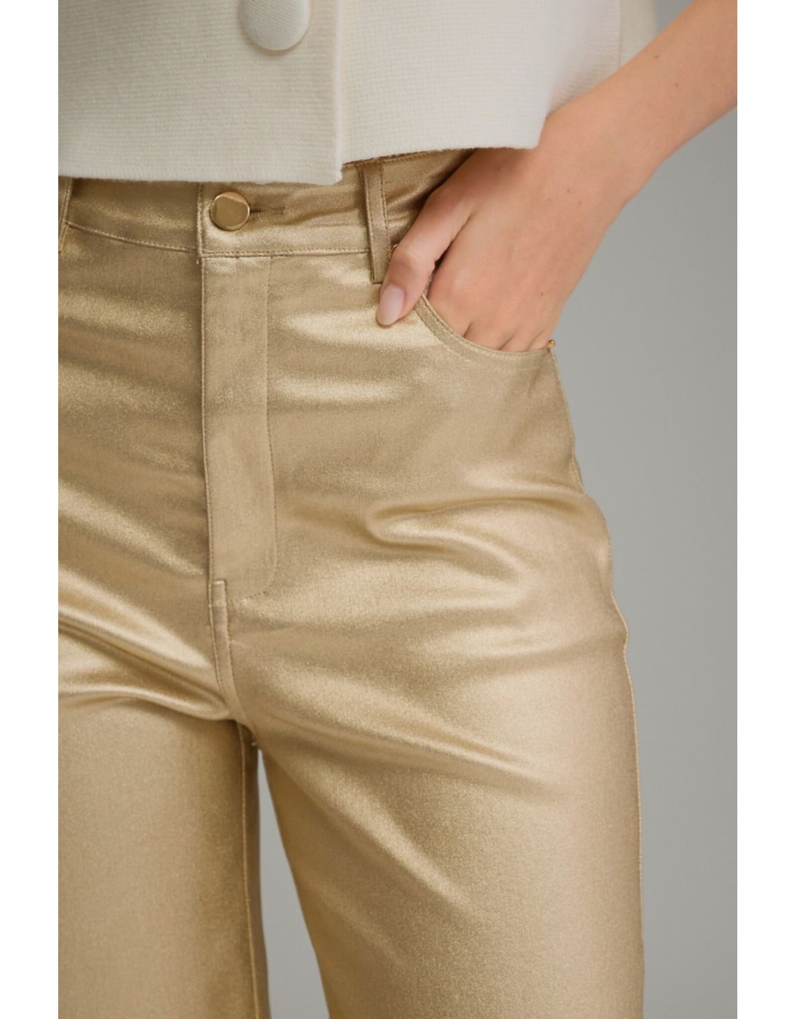 Melinda Metallic Gold Pants