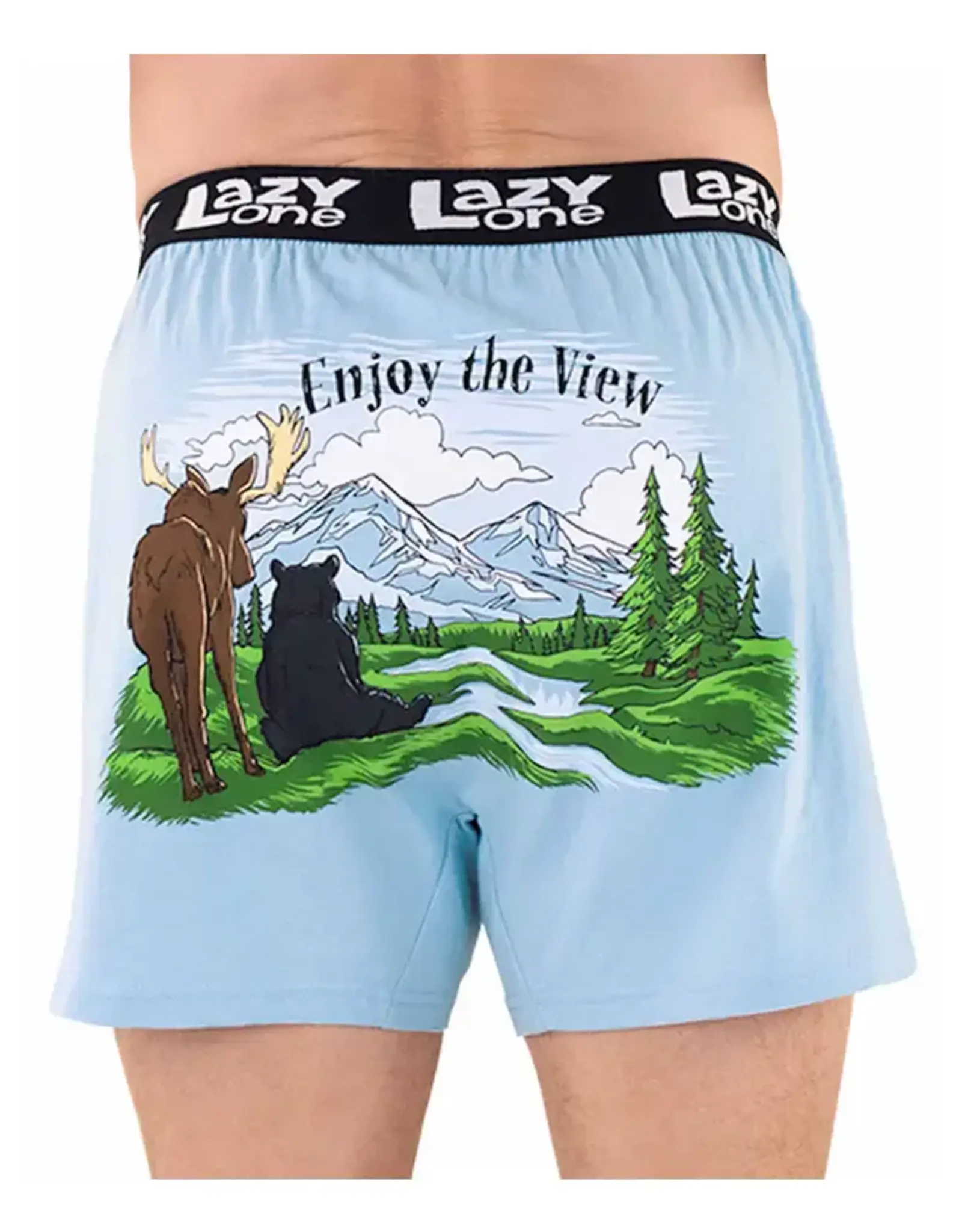 Boxer Enjoy The View