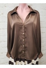 Winsome Silky Brown Blouse
