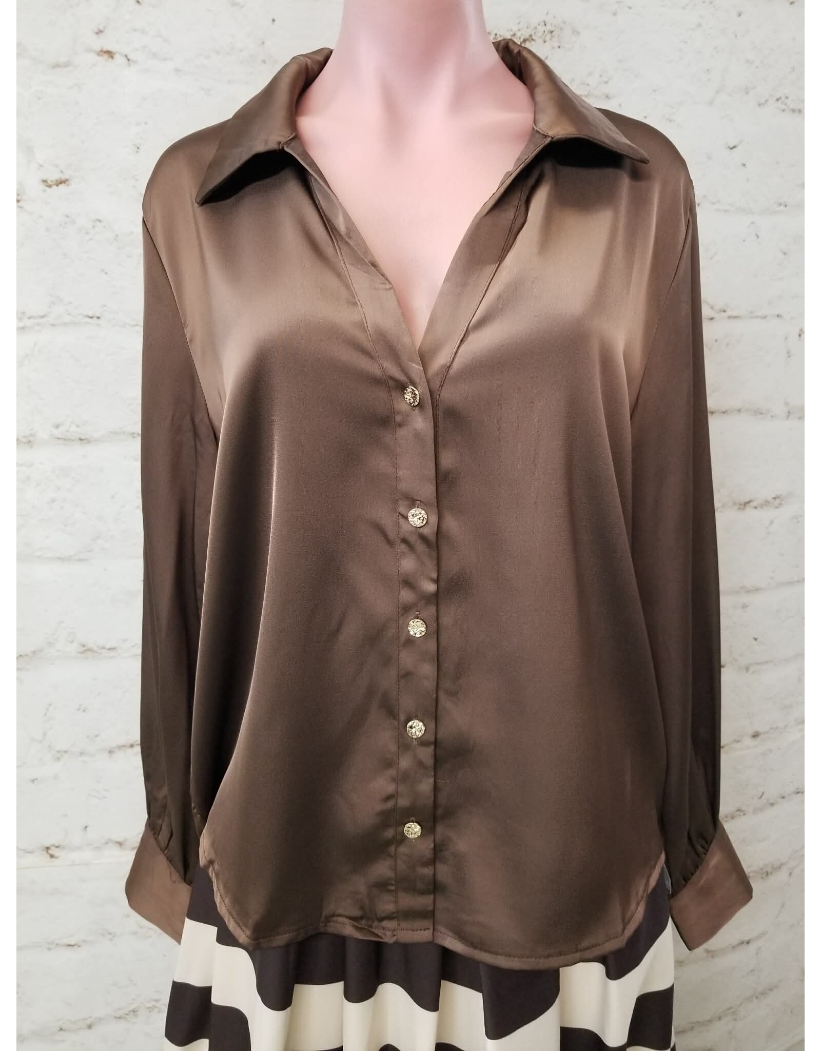 Winsome Silky Brown Blouse