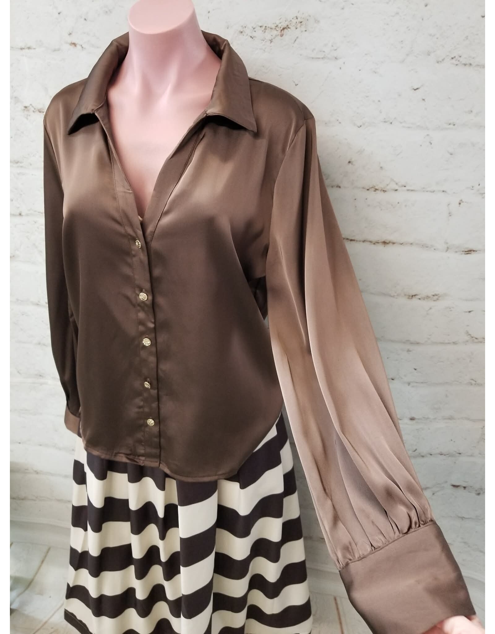 Winsome Silky Brown Blouse