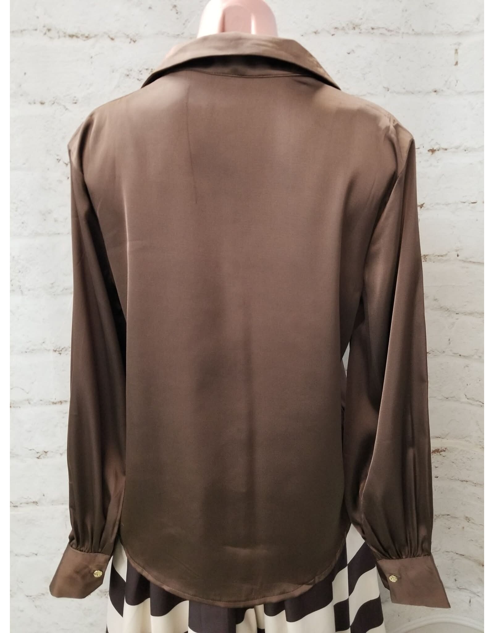 Winsome Silky Brown Blouse