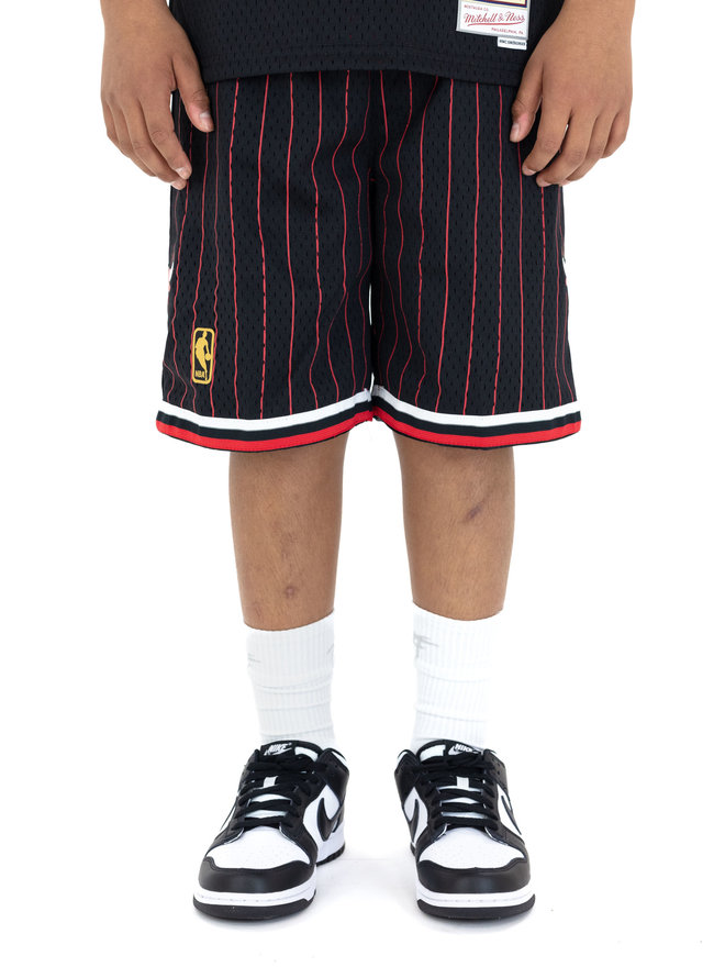 Mitchell & Ness ASTRO SWINGMAN SHORT - CHICAGO BULLS Grey - GREY