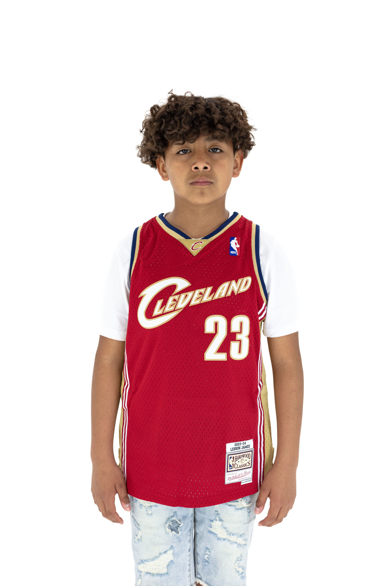 lebron swingman jersey