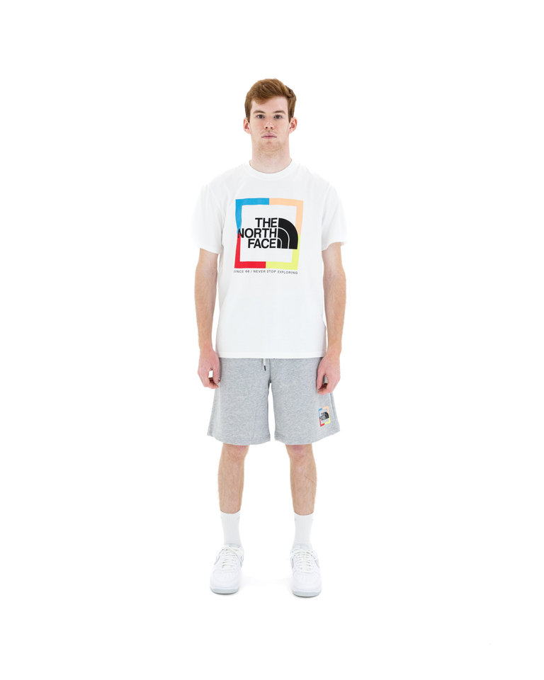 The North Face TNF Coordinates Tee