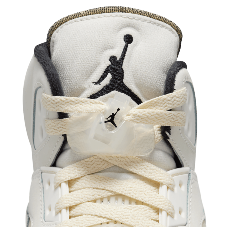 Air Jordan 5 Retro SE