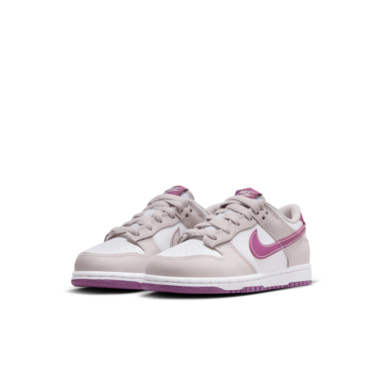 PS Nike Dunk Low