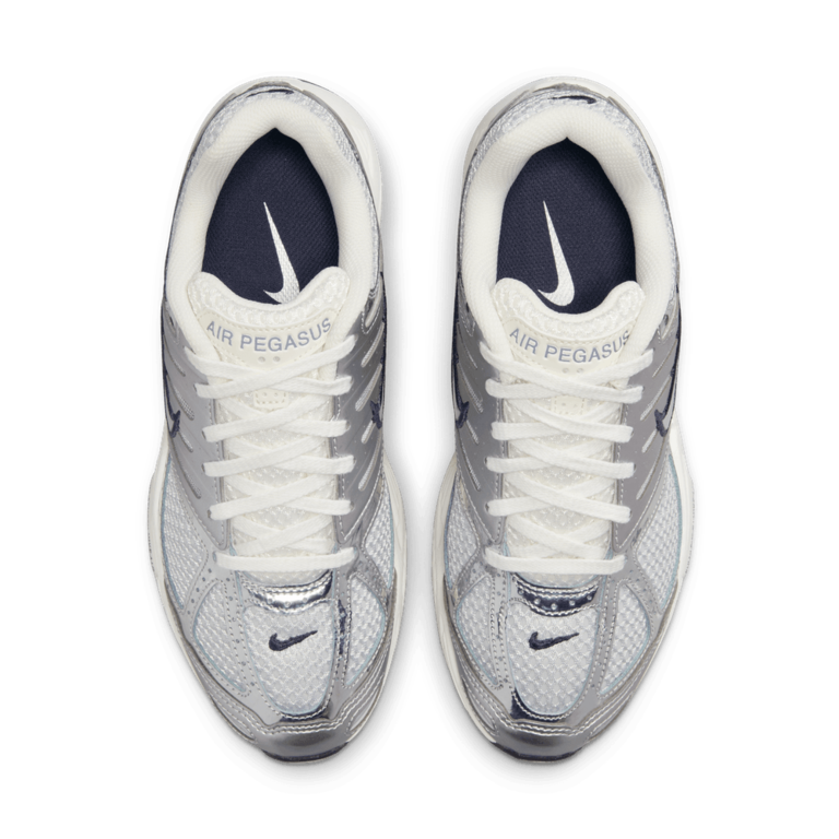 Nike Nike Air Pegasus 2005