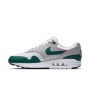 am1 evergreen