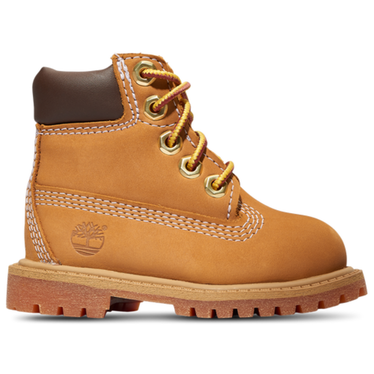 Timberland TD Timberland 6" Premium Waterproof Boot