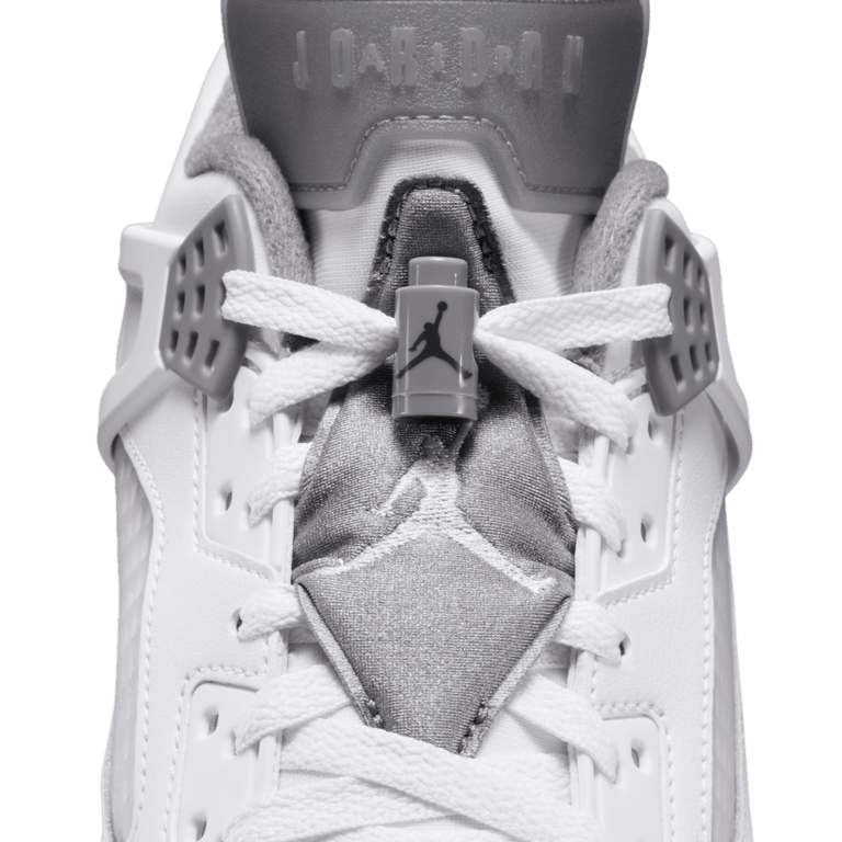 Air Jordan Air Jordan Spizike Low