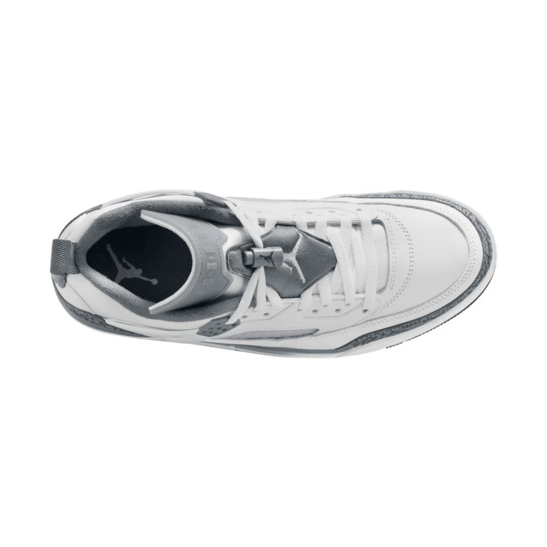 Air Jordan Air Jordan Spizike Low