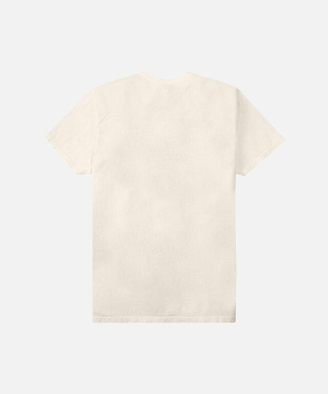 Paper Planes Paper Planes Bear Tee