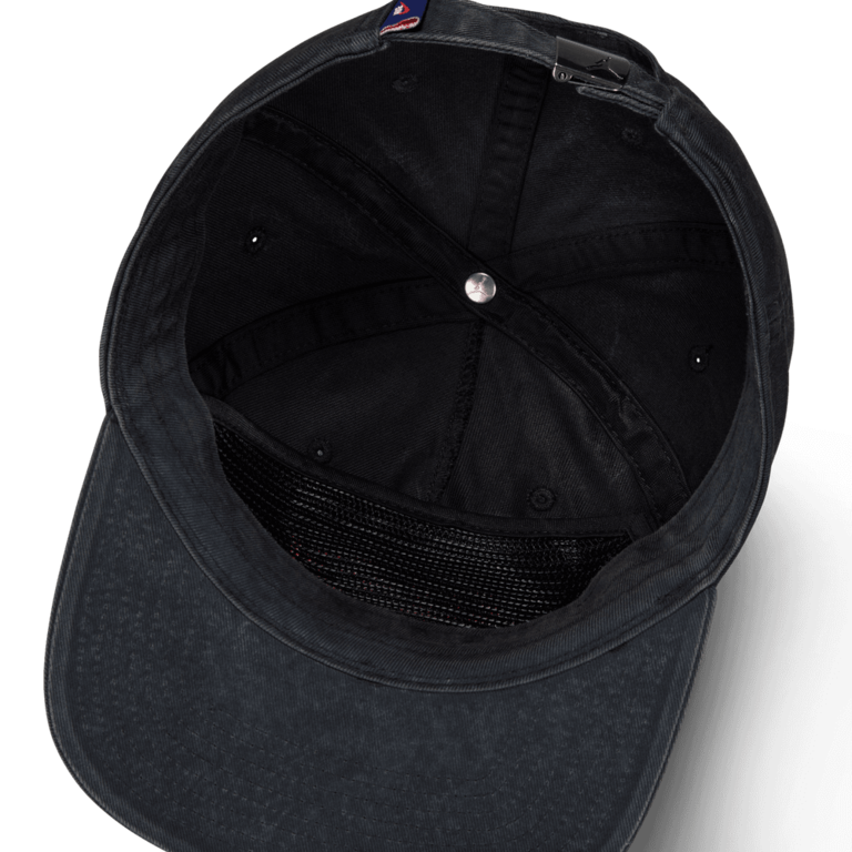 Air Jordan Air Jordan Pro Rare Rair Adjustable Cap
