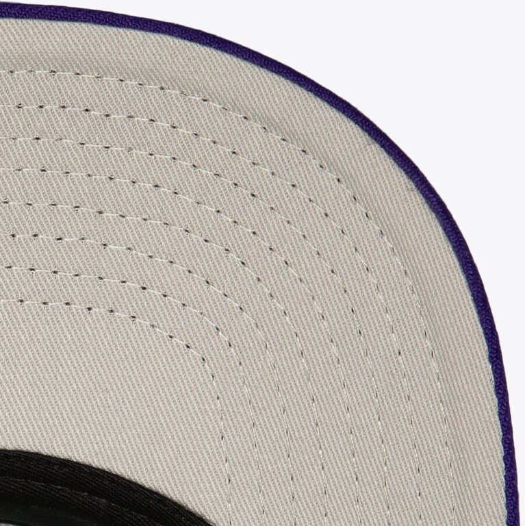Mitchell & Ness M&N Crown Jewels Pro Snapback Charlotte Hornets