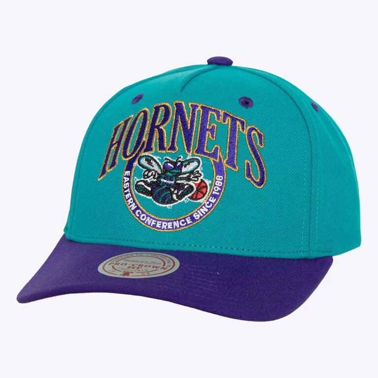 Mitchell & Ness M&N Crown Jewels Pro Snapback Charlotte Hornets