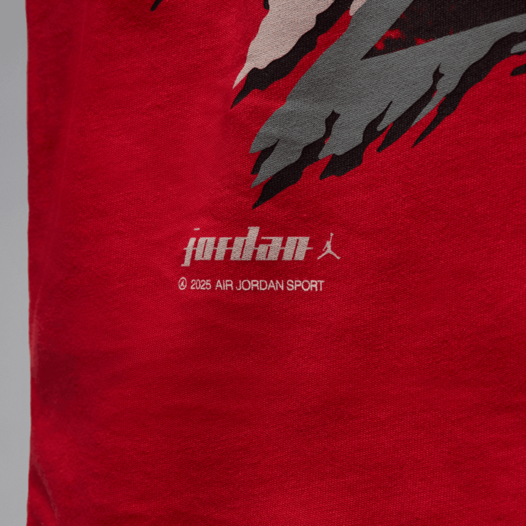Air Jordan Air Jordan Tee