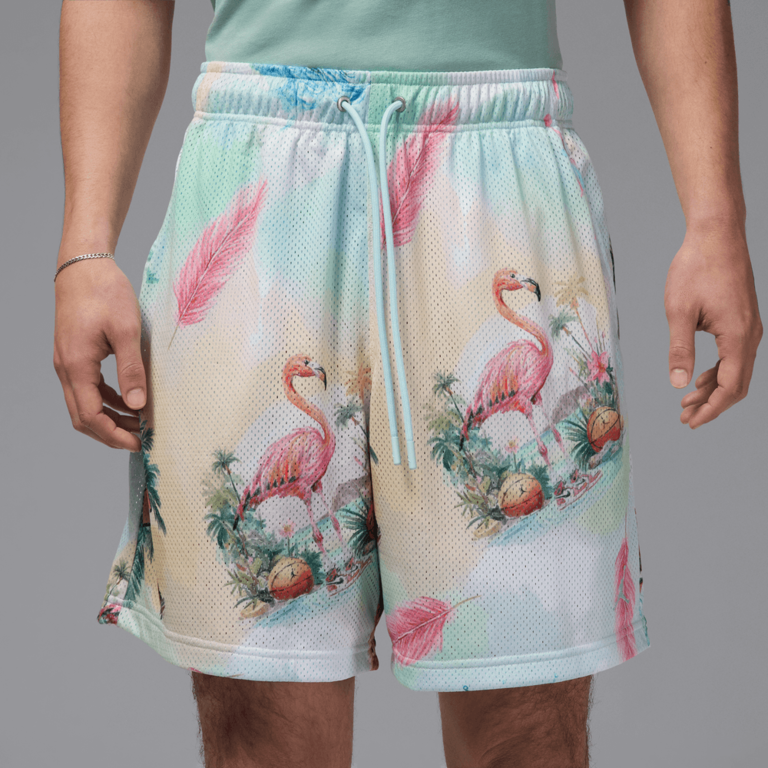 Air Jordan Air Jordan Essentials Printed Mesh Shorts