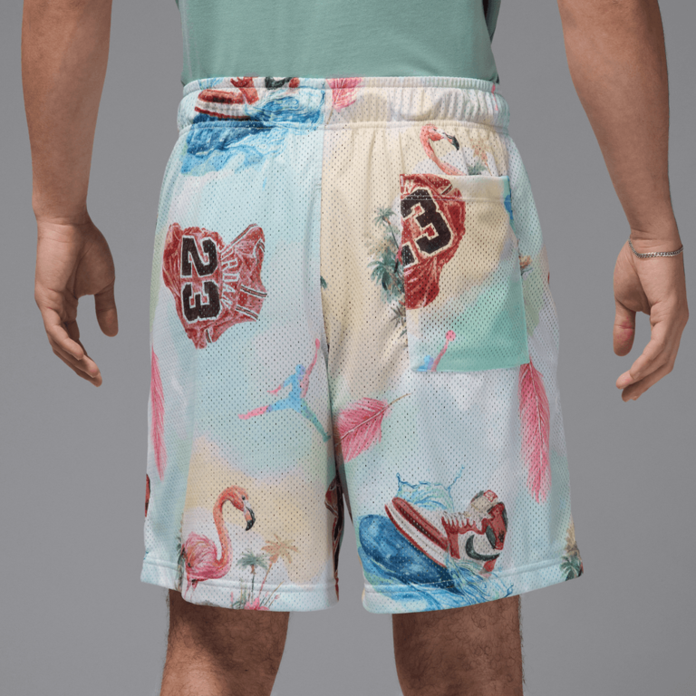 Air Jordan Air Jordan Essentials Printed Mesh Shorts