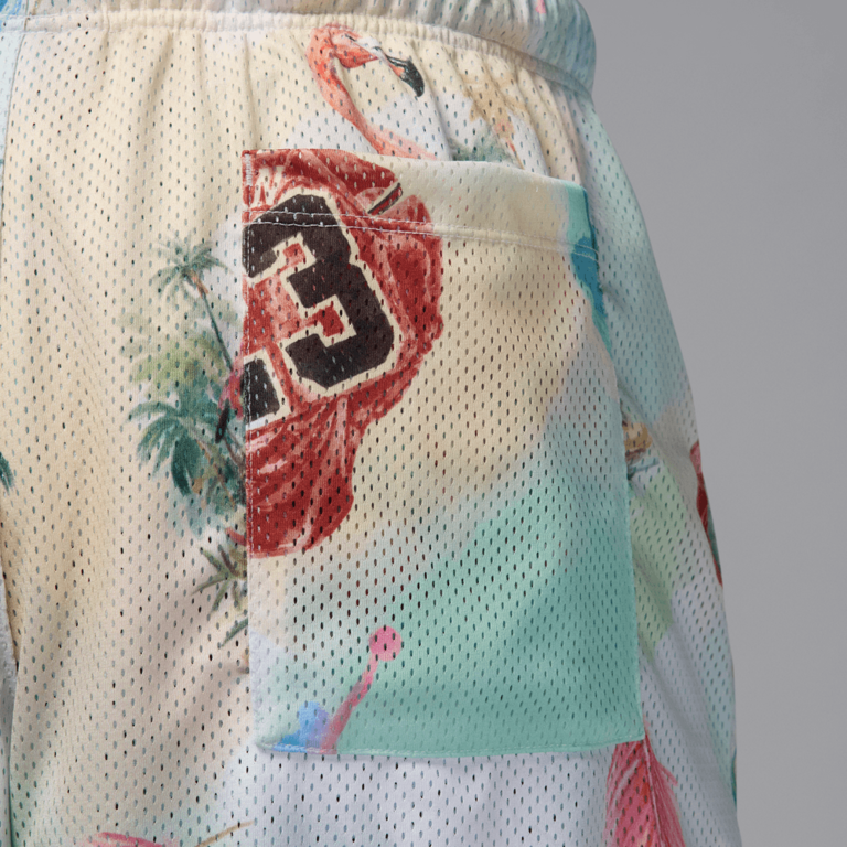 Air Jordan Air Jordan Essentials Printed Mesh Shorts