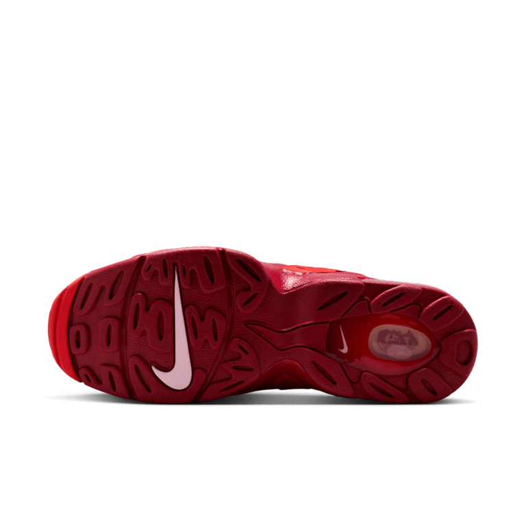 Nike Nike Air DT Max '96