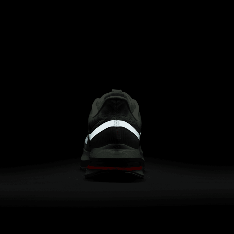 Nike Nike Pegasus Premium