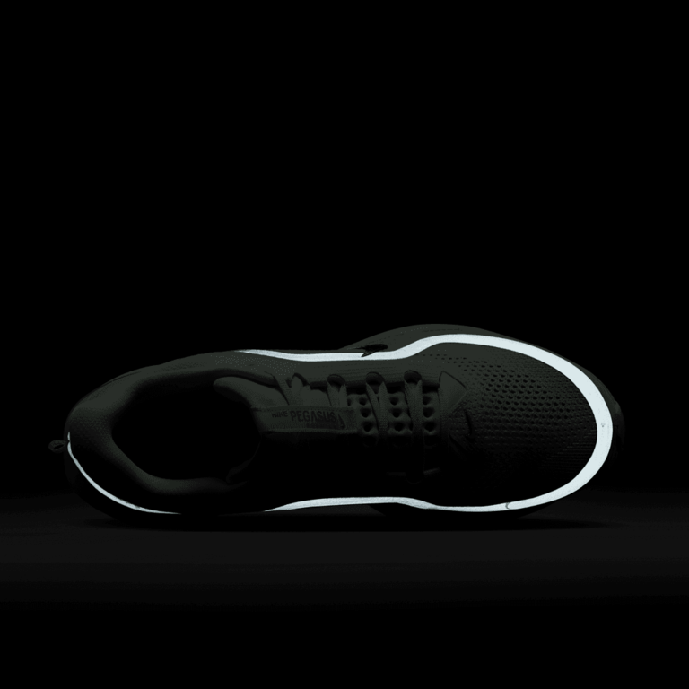 Nike Nike Pegasus Premium