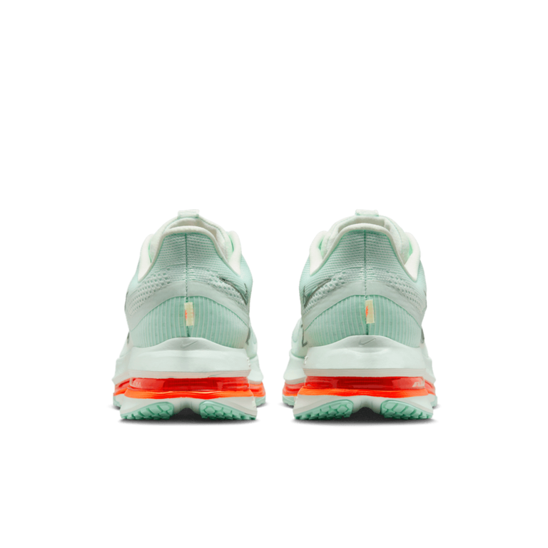 Nike Nike Pegasus Premium