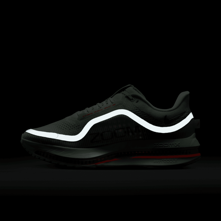 Nike Nike Pegasus Premium