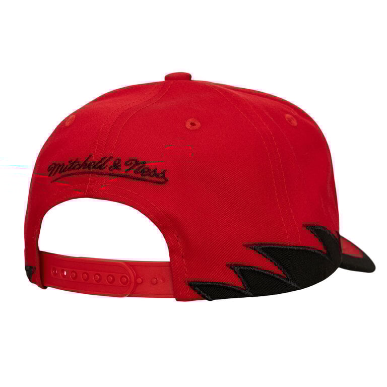 Mitchell & Ness M&N NBA Color Up Pro Snapback Chicago Bulls