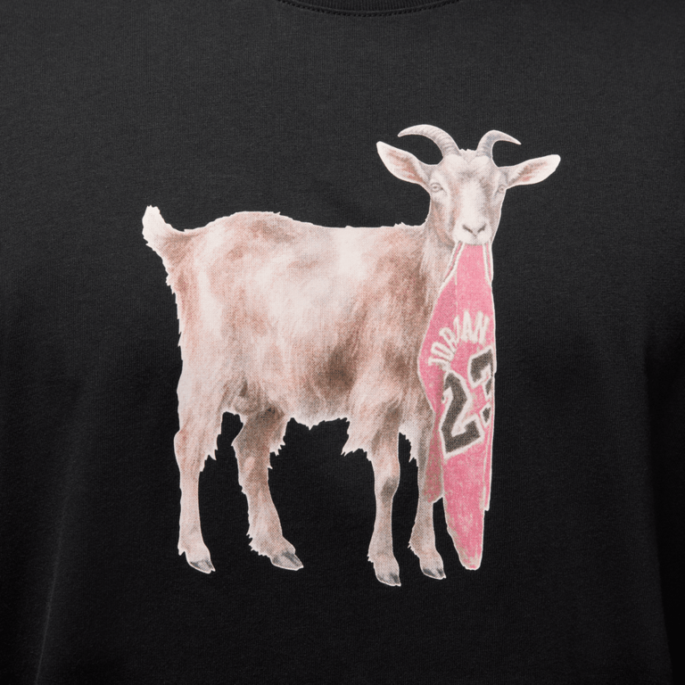 Air Jordan Air Jordan Tee FA25