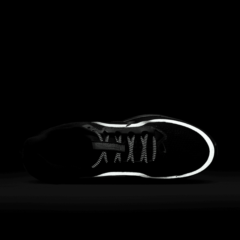 Nike Nike Pegasus Premium