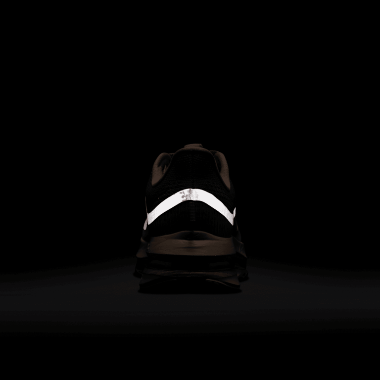 Nike Wmns Nike Pegasus Premium