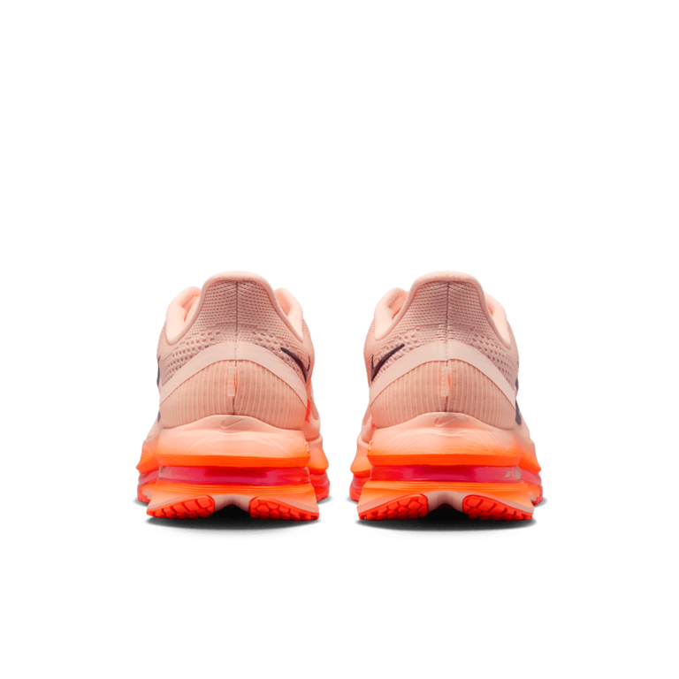 Nike Nike Pegasus Premium