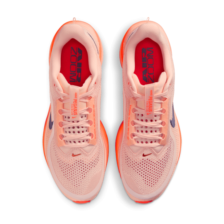 Nike Nike Pegasus Premium