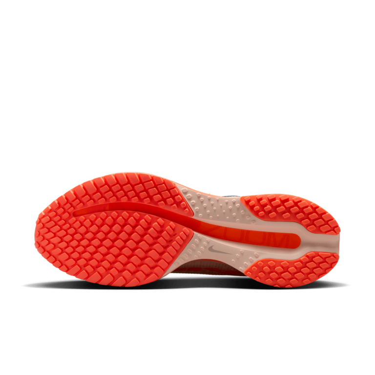 Nike Nike Pegasus Premium