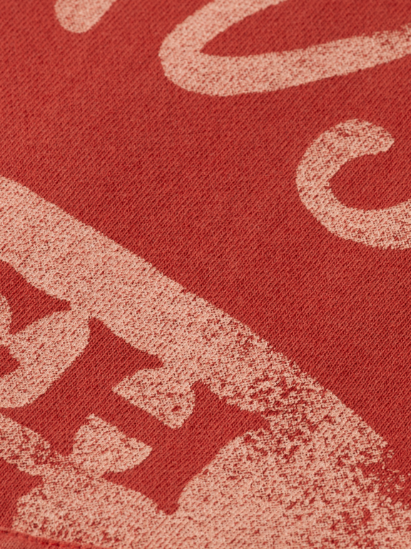 Scotch & Soda S&S Wash Artwork Hoodie