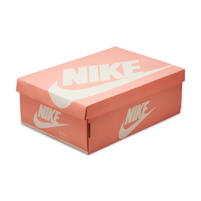 Air Jordan Wmns Air Jordan 1 Retro High OG