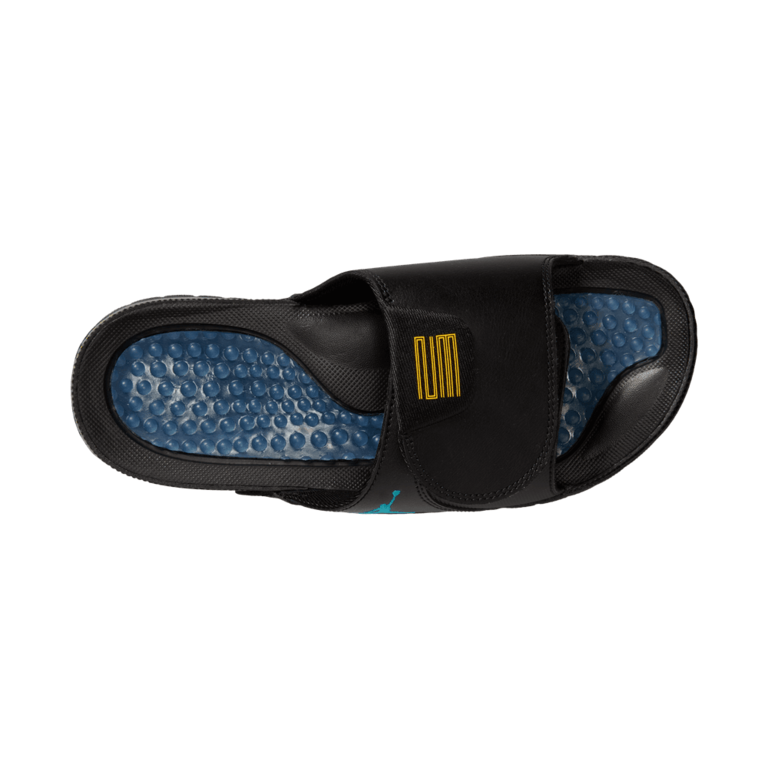 Air Jordan Air Jordan Hydro XI