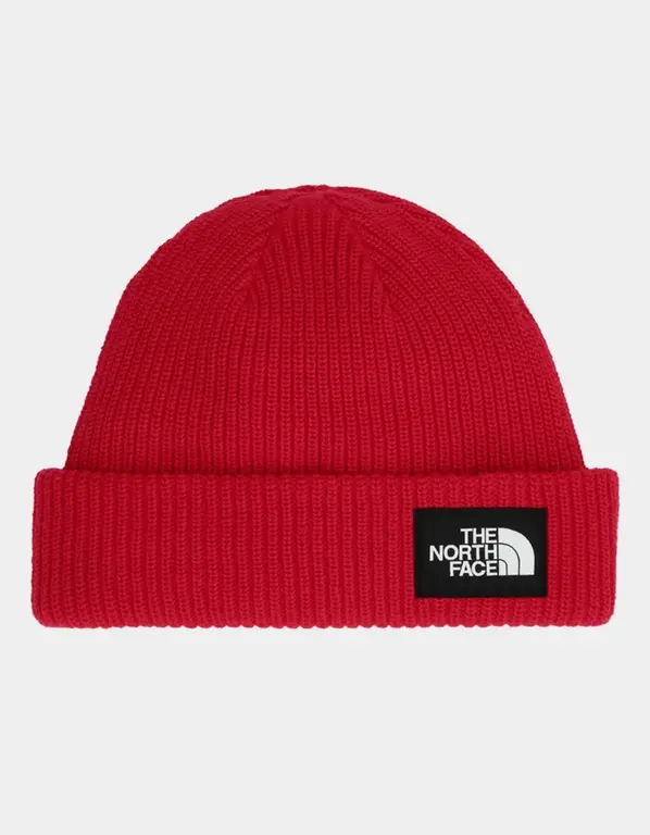 The North Face TNF Salty Lined Beanie