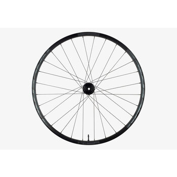 RACE FACE Aeffect R 30 15 x 110 29" - Front Wheel