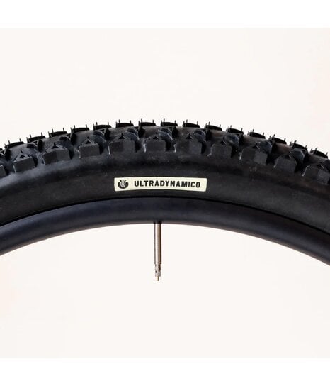 Teravail Coronado - 29