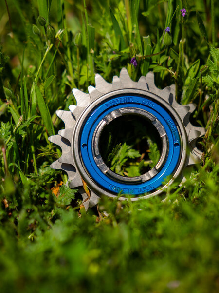 White Industries Dos Eno Freewheel 3/32 16T/18T Blue Lockring