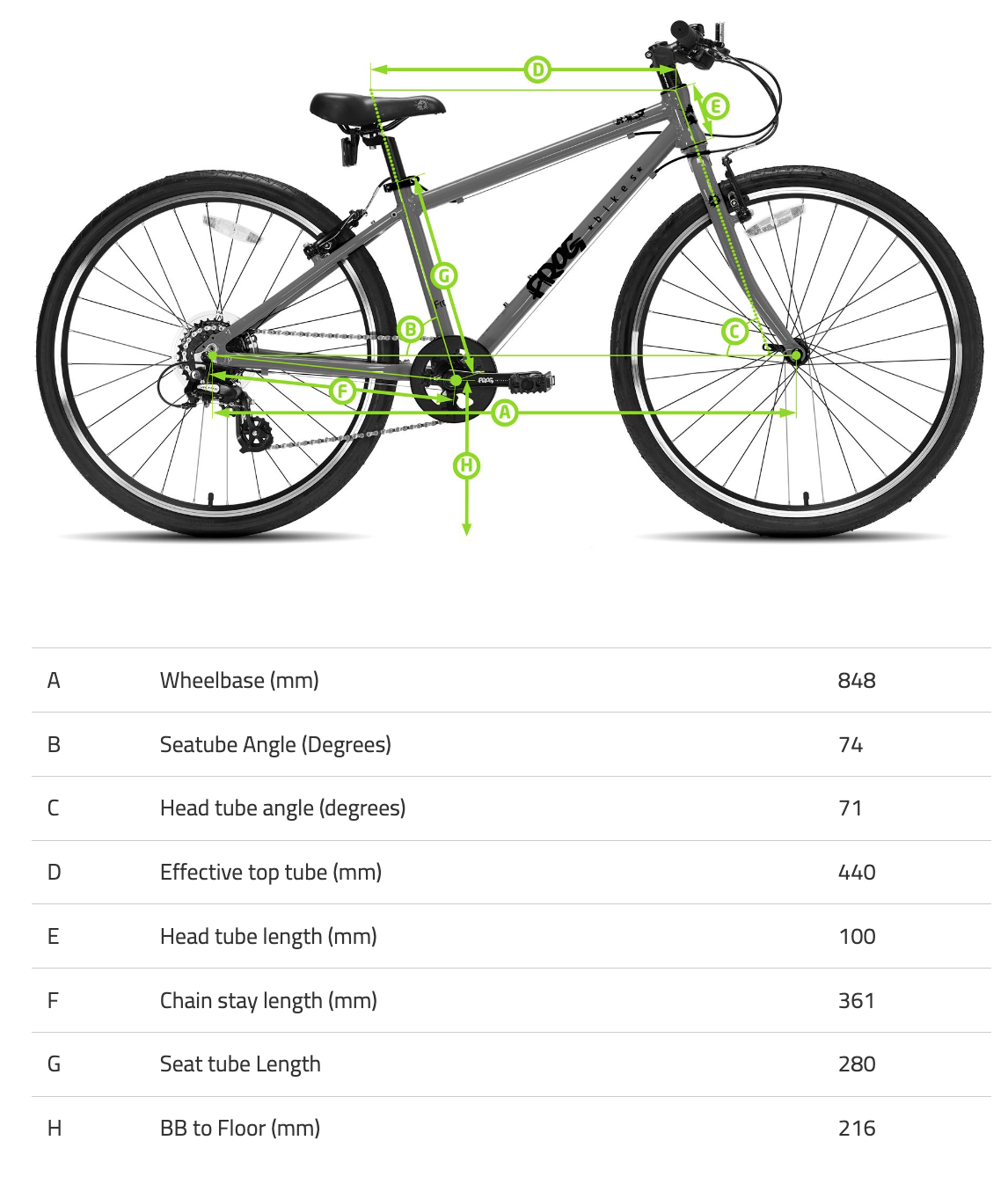 Frog 53 20 Bike and Brew
