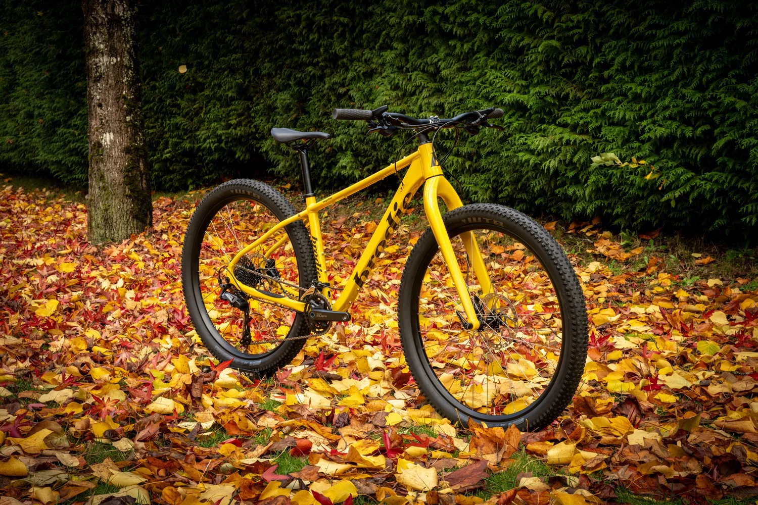 BRODIE Mega Tour 2.0