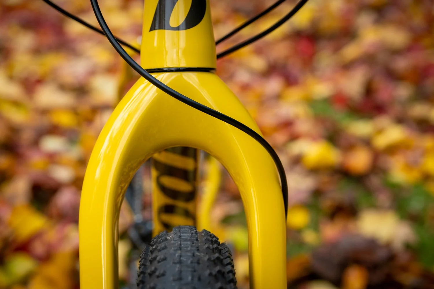 BRODIE Mega Tour 2.0