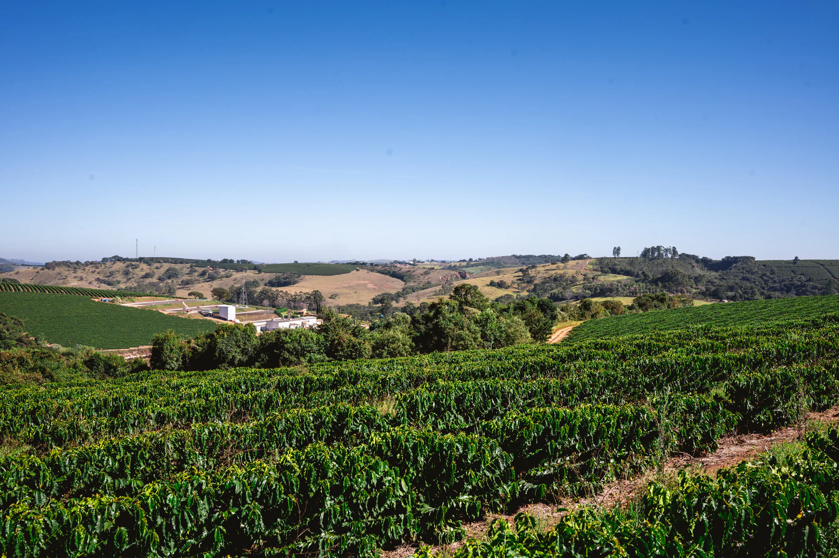 Brazil Campo Das Vertentes Coffee 12oz