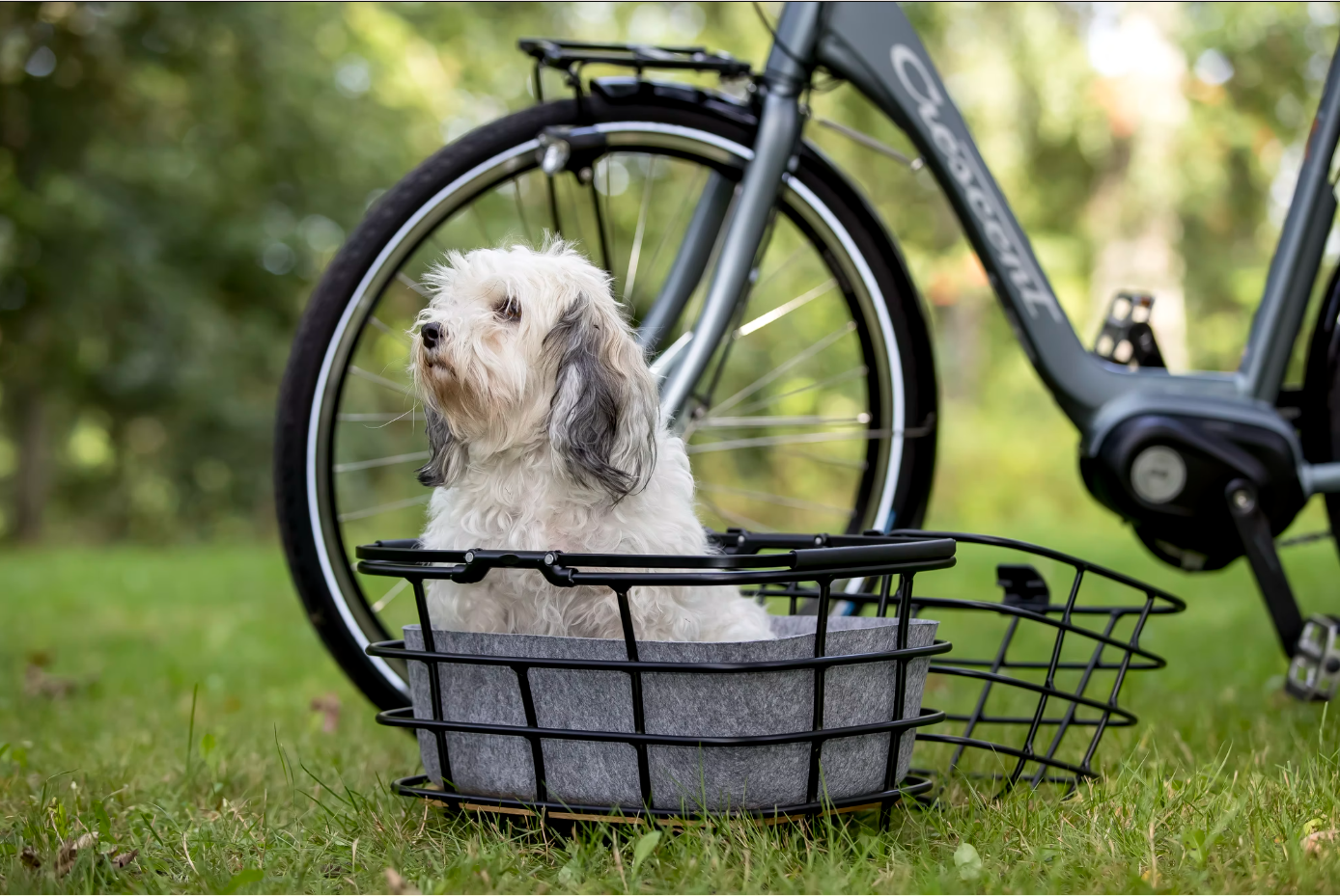 ATRAN VELO Duo Basket Cover